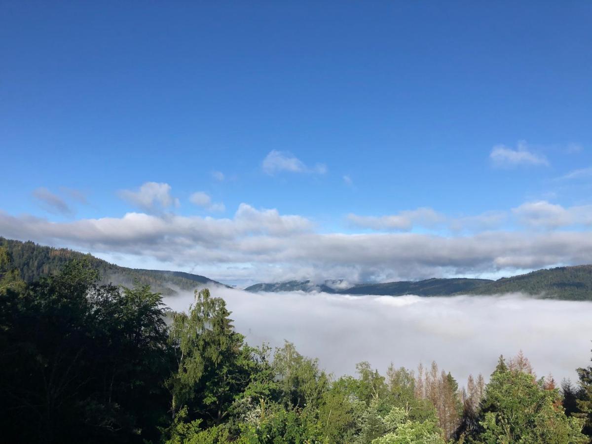 Le Gite Cozy De Bouvacote Avec Vue Panoramique Et Sauna Le Tholy Eksteriør billede