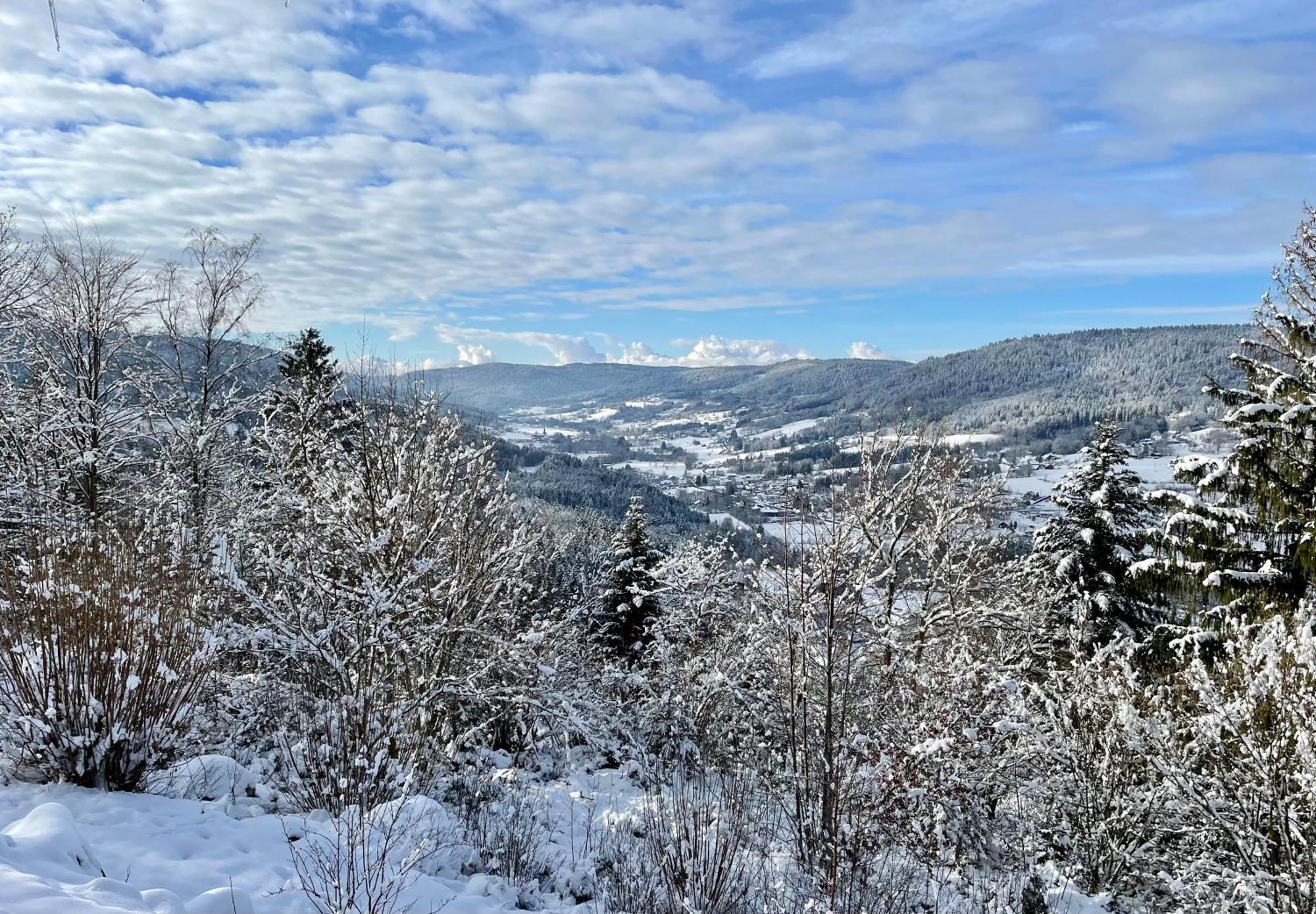 Le Gite Cozy De Bouvacote Avec Vue Panoramique Et Sauna Le Tholy Eksteriør billede