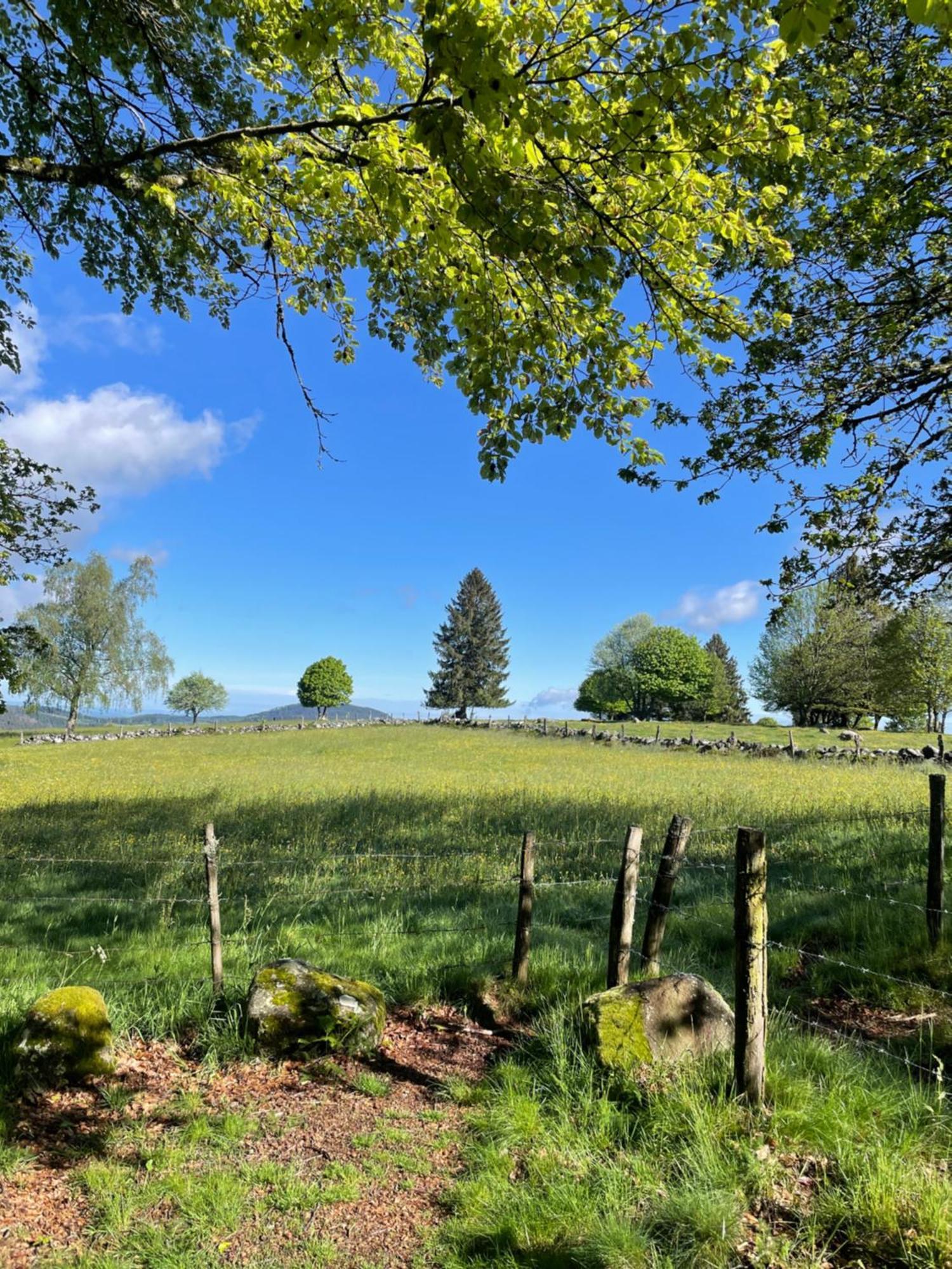 Le Gite Cozy De Bouvacote Avec Vue Panoramique Et Sauna Le Tholy Eksteriør billede