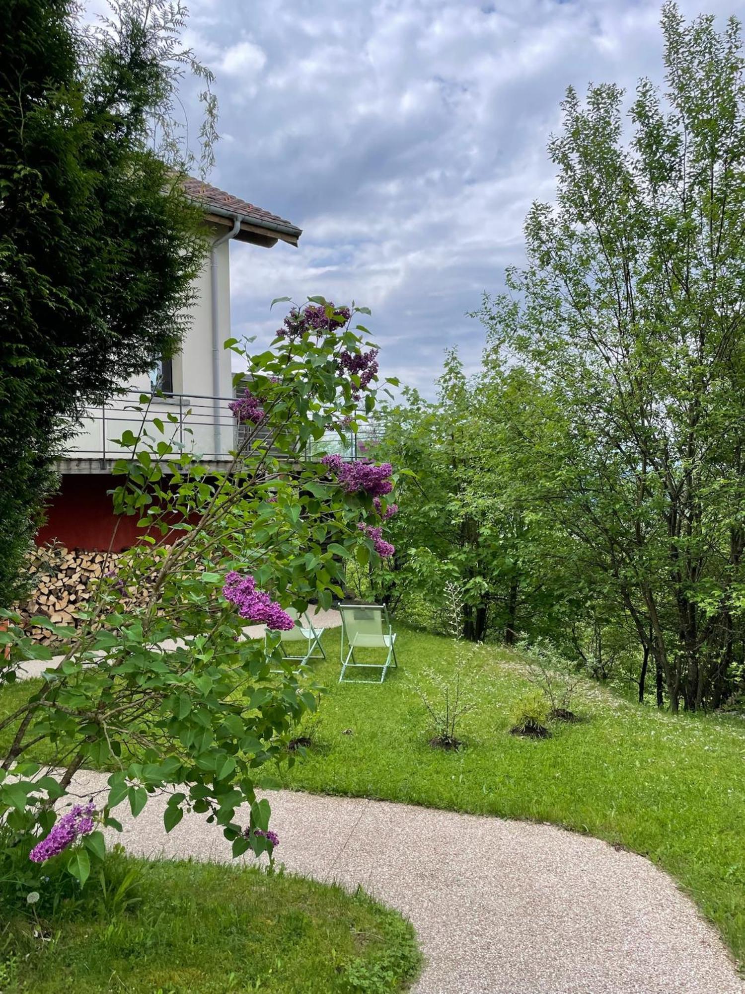 Le Gite Cozy De Bouvacote Avec Vue Panoramique Et Sauna Le Tholy Eksteriør billede