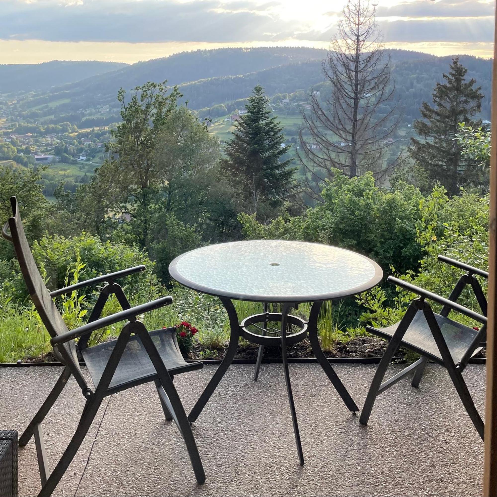Le Gite Cozy De Bouvacote Avec Vue Panoramique Et Sauna Le Tholy Eksteriør billede